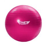 Ciwaa Cwa-2047 Pilates Topu 75 Cm Pembe Pompa Hediyeli