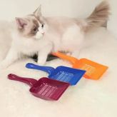 Clariss Kedi Kumu Küreği