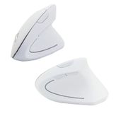Cloody Dikey Ergonomik Kablosuz Mouse (Pilli) - Beyaz