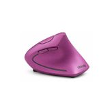 Cloody Mor Kablosuz Dikey Ergonomik Mouse Type-C Şarj Edilebilir 2.4G Bağlantı