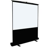 Codegen PTX-140 145x82 cm Taşınabilir Projeksiyon Perdesi