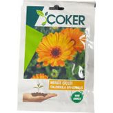 Çoker Nergis Çiçeği Tohumu