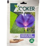 Çoker Sarmaşık Çiçeği Tohumu
