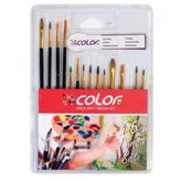 Colorbank 15'Li Fırça Seti