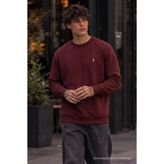 COMBİNE MİCHAİL Örme Kışlık Günlük Bordo Erkek Sweatshirt