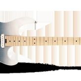 Cort G280DXNN Elektro Gitar