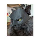 Cosinus Kediler için Batman Maskesi