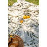Cotton Collection Tek Kişilik Pike Olıve 160X230 - Yeşil - Ekru