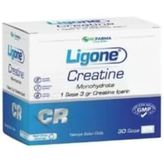 Creatine Monohydrate 3 Gr Lık 30 Saşe