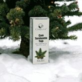 Curelive Çam Terebentin Yağı - 20 ml