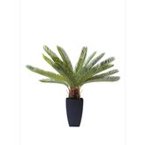 Cycas Ağacı Dekoratif Bitki 78cm