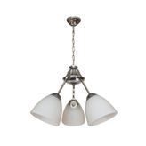 D-Light Tulu 3'lü Avize