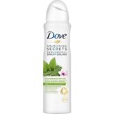 D. Matcha & Sakura Çiçeği Kadın Deodorant 150ML