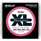 D'addario ECB81 Bass Gitar Tel Seti