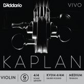 D'addario KV314 Kaplan Vıvo Scale Length 4/4 G-S Keman Tek Tel