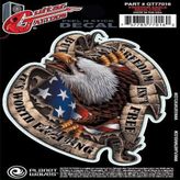 D'Addario Planet Waves Freedom Eagle GT77016 Gitar Sticker