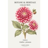 Dahlia: A Botanical Heritage Collection Notebook Featuring Dahlia × pinnata
