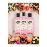 Dalan Botanica Duş Jeli Şakayık 500 Ml X 3 Adet