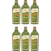 Dalan Onarıcı 6x400 ml Bakım Şampuanı