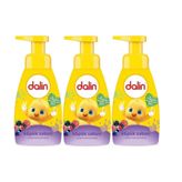 Dalin Orman Meyveli 3x200 ml Köpük Sabun