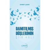 Damıtılmış Düşlerimin Şiir Hali - Ahmet Çakır
