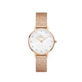 Daniel Wellington DW00600590 Kol Saati