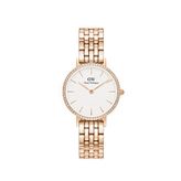 Daniel Wellington DW00600666 Kadın Kol Saati
