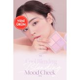 Dasique 02 Cool Blending Blending Mood Cheek