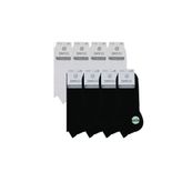 Dayco BAMBU Kadın PATİK ÇORABI (6 ADET)