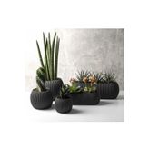 Ddtrend Dekoratif 5 Parça Modern Mercan Saksı Seti (Bitkiler Dahil Değildir)