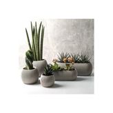 Ddtrend Dekoratif 5 Parça Modern Mercan Saksı Seti Hobi Bahçe Kaktüs Ve Sukulent Bitki Saksısı