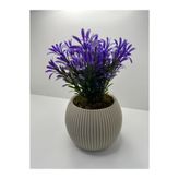 Ddtrend Mini Saksıda Afrika Zambağı Yapay Bitki Gerçek Taş Yosunlu 18 Cm Dekoratif Banyo Mutfak Masa Çiçeği