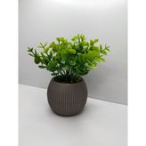 Ddtrend Mini Saksıda Yapay Çiçek Bitki Şimşir Gerçek Taş Yosunlu Toplam 18 Cm Dekoratif Masa Raf Çiçeği