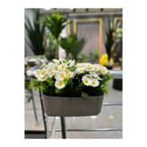 DDTREND Yapay Çiçek Ve Bitki Balkon Saksıda Papatya Aranjman Dekoratif Teras Çiçeği