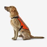Decathlon Solognac 100 Turuncu Avcılık Köpek Yeleği
