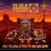 Def Jam What You Gonna Do When The Grid Goes Down Plak