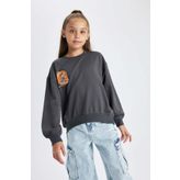 DeFacto B1508A823AU Kız Çocuk Garfield Bisiklet Yaka Sweatshirt