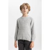 DeFacto C9468A8 Erkek Çocuk Sweatshirt