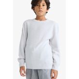 DeFacto Regular Fit Basic Kazak Erkek Çocuk F4731A825AU