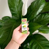 Defne Doğa Ylang Ylang Yağı - 20 cc