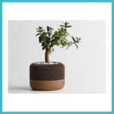 Defne Store 3D Baskı Modern File Desenli Dekoratif Saksı - Minimal Çiçek Saksısı, Ev ve Ofis Bitki Saksısı-Kahverengi Dfnbez