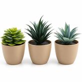 Deinhaus, Üçlü Mini Yapay Sukulent Seti – 8 cm Saksı, Dekoratif Küçük Bitki Seti, Gerçekçi Görünüm, Salon Ofis Ev Masa Üstü Süs Bitkisi, Bakım Gerektirmez, Modern Dekor