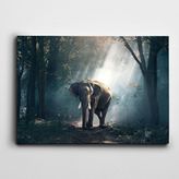 Dekolata Fil 100x140 cm Kanvas Tablo