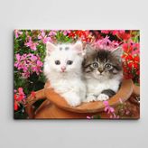 Dekolata Küpte Sevimli Kediler 40x60 cm Kanvas Tablo