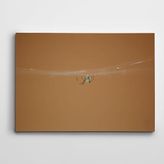Dekolata Örümcek 40x60 cm Kanvas Tablo