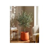 Dekoratif Modern Tabak Saksı, 34X28 Cm, Turuncu, Plastik - Genel