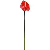 Dekorsende 40 cm Canlı Dokunuş Kırmızı Antoryum Çiçeği Yapay Bitki