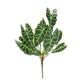 Dekorsende 65 cm Alocasia Demeti Yapay Bitki