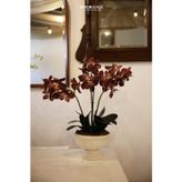 Dekorsende Yapay Vanda Orkide Dalı 52 cm Pembe