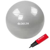 Delta 65 Cm Kutulu Pilates Topu Gümüş JRS660